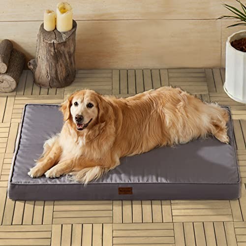 Waterproof Outdoor Dog Bed for Large Dogs 36x27 Inches Grey Cushion