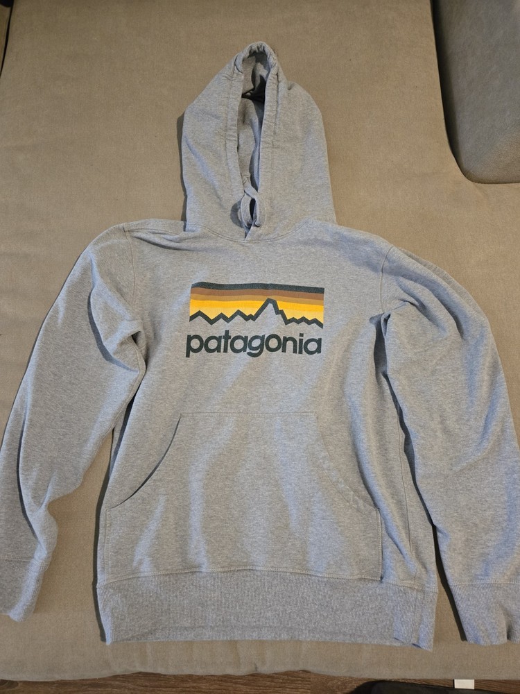 Patagonia Sweatshirt Mens Small Gray Hoodie Organic Cotton Big Spellout Vintage