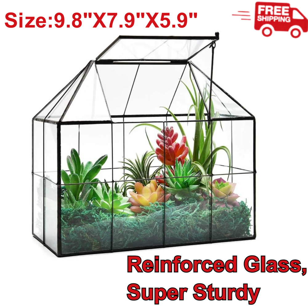 Glass House Terrarium for Succulents and Small Plants
