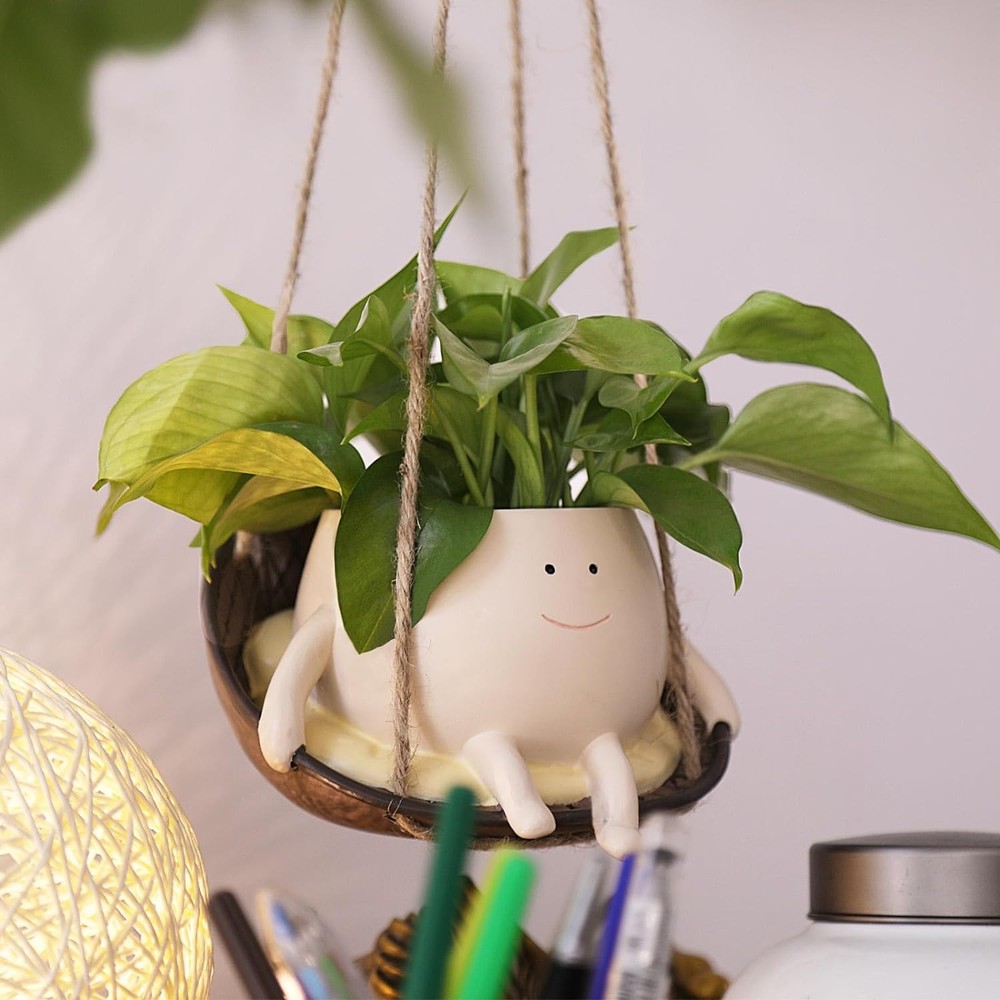 Hanging Swing Chair Planter Pot Smile Face Plant for Indoor Small, Dy-s
