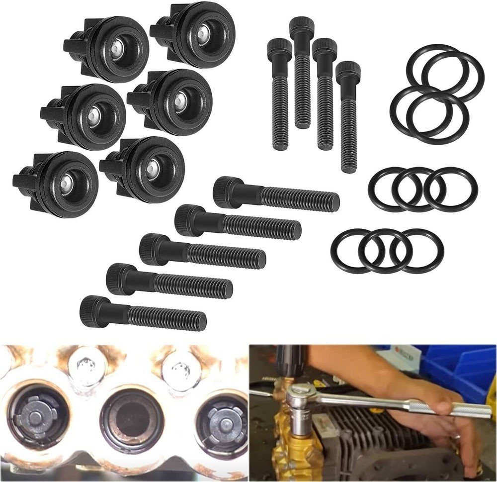 Briggs Stratton Craftsman Pressure Washer Pump Valve Check Kit 190591GS