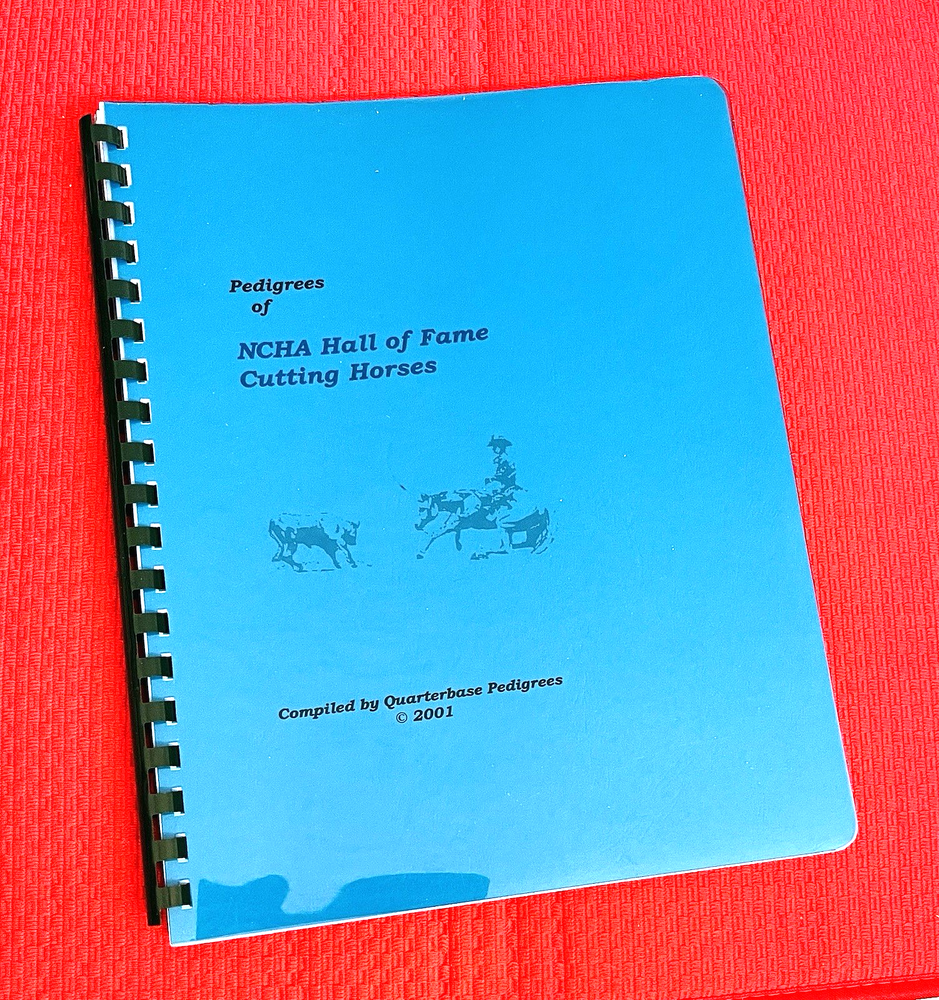 X-RARE! Quarter Horse 