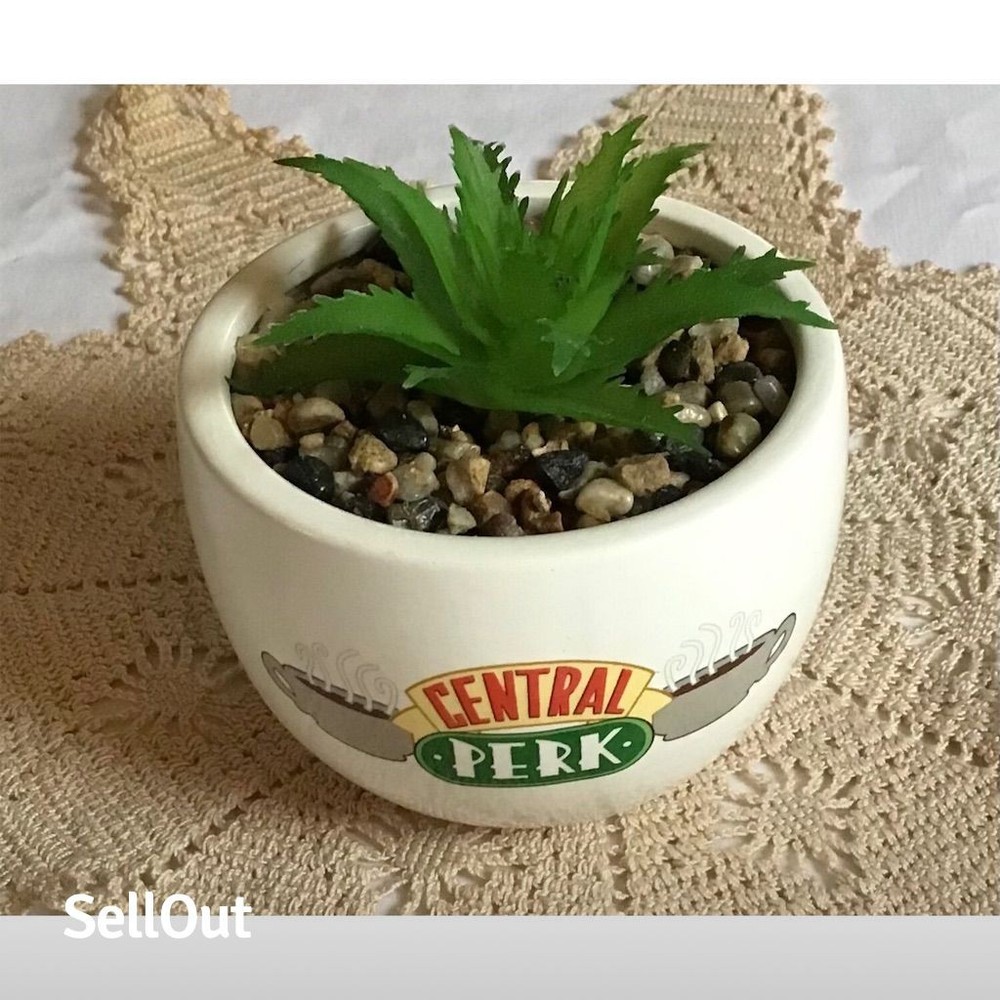Friends Central Perk Succulent Planter Mug Inspired by FRIENDS TV Show  