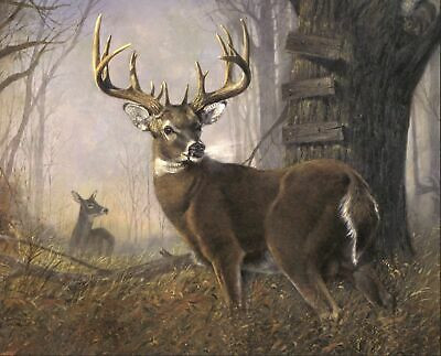 35-Inch Fabric Panel Featuring Buck Deer in Forest by David Textiles Digital Impending Challenge