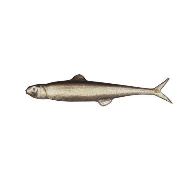 Evergreen Last Ace 75 #57 Trick Shad Soft Lure 7.5cm Fishing Bait New