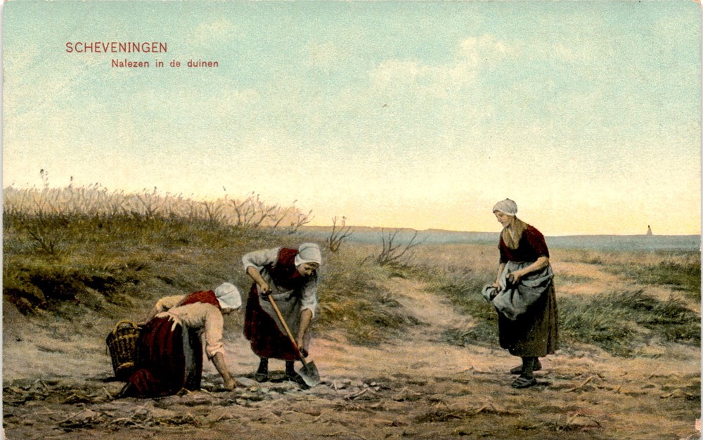 Scheveningen, Duinen, Dr. Trenkler Co., Leipzig, 190 Postcard