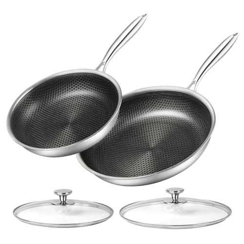 Stainless Steel Frying Pan Set with Lids 10 and 12 Inch
