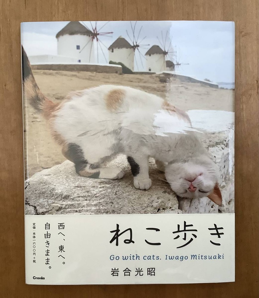 Photo book Cat Walking Mitsuaki Iwai Obi First Edition Beautiful Goods