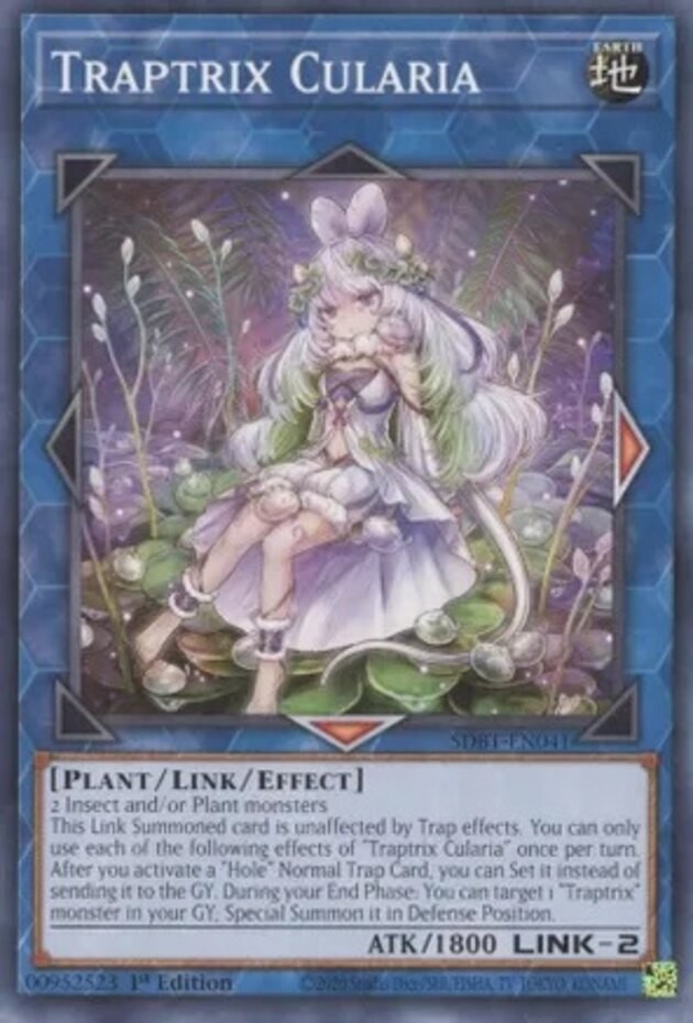 Traptrix Cularia SDBT-EN041 Common 1st Edition Near Mint Yugioh Card