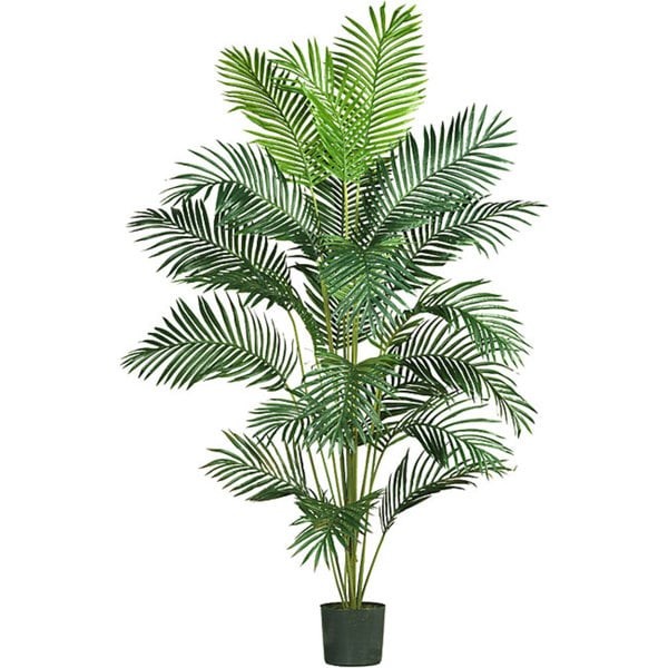 7-Foot Paradise Palm Silk Tree in Vibrant Green