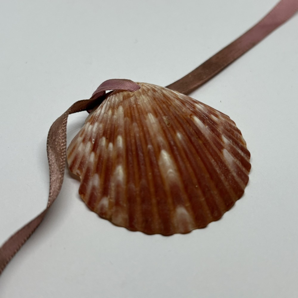 Handmade Seashell Ornament Ribbon Christmas Sea Decor