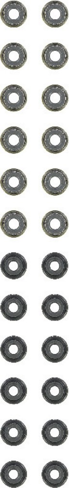 Engine Valve Stem Oil Seal Set Victor Reinz For 1999-2008 Toyota Solara