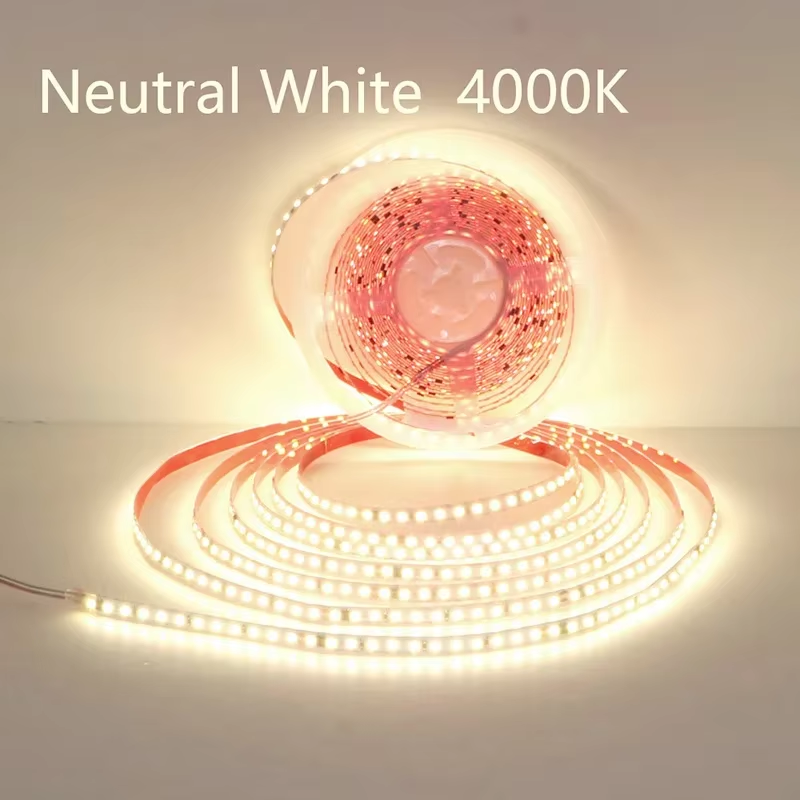 AC220V 230V 5M 600 LED Strip 2835 120Leds/M Home Lamp Strip Red Ice Blue Green Y