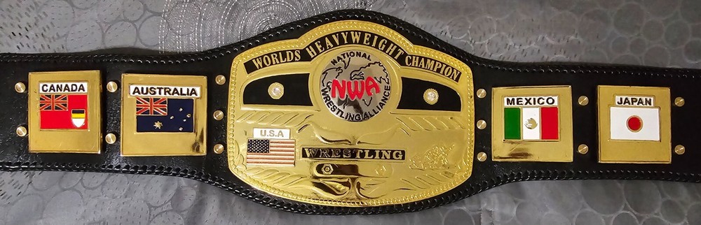 NWA DOMED GLOBE WORLD HEAVYWEIGHT CHAMPIONSHIP REPLICA BELT WWE WWF WCW ECW TNA