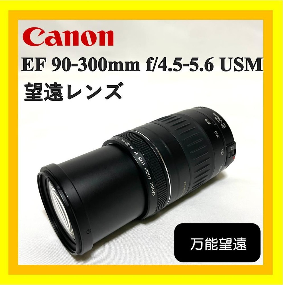 Canon EF 90-300mm USM telephoto lens ideal for beginners and enthusiasts