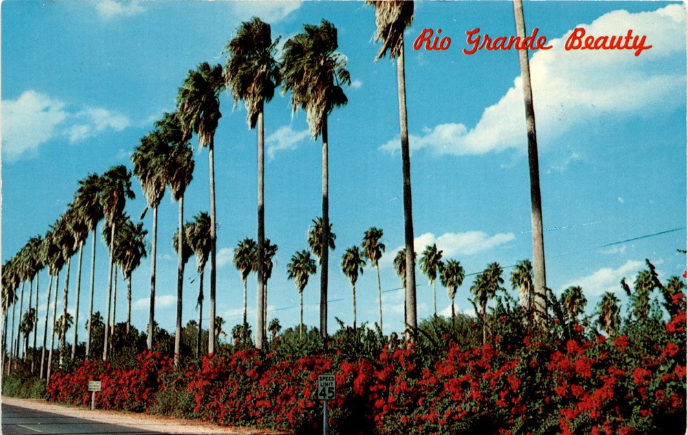 Rio Grande Valley, South Texas, Corpus Christi, Texas, West Nyack, New Postcard