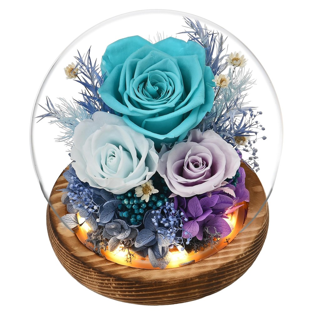 Valentines Day Forever Real Roses for Her, Flowers for Delivery Prime, Preser...-image