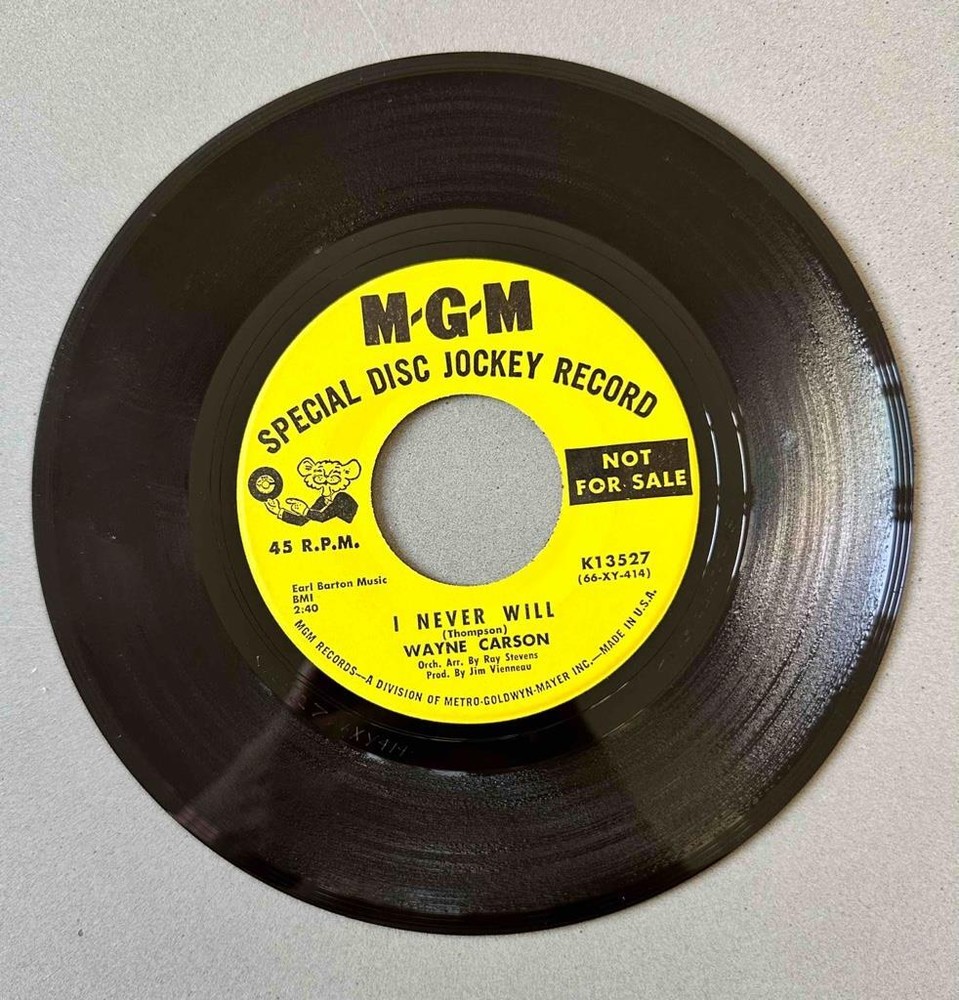 Northern Soul 45 Wayne Carson - I Never Will/I'll Make It Easy For You * MGM