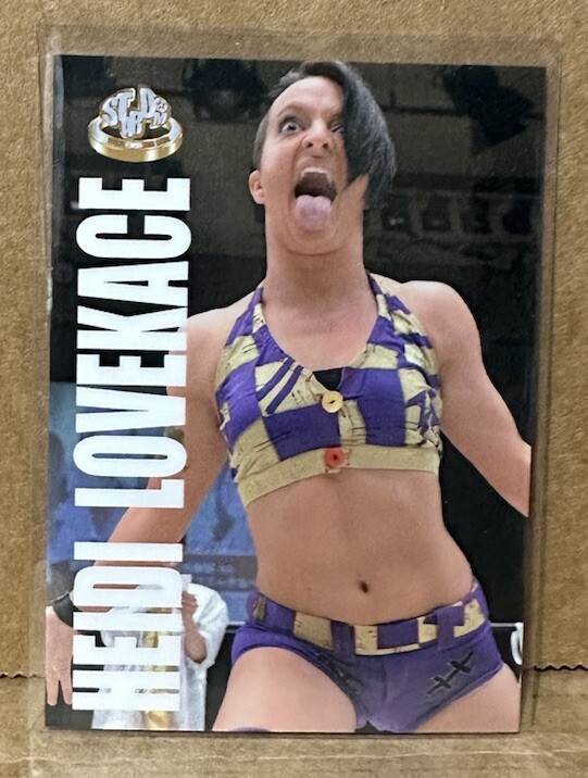 Heidi Lovelace Ruby Riot Soho 2014 Stardom Collection Rookie Card #66 SP RARE RC