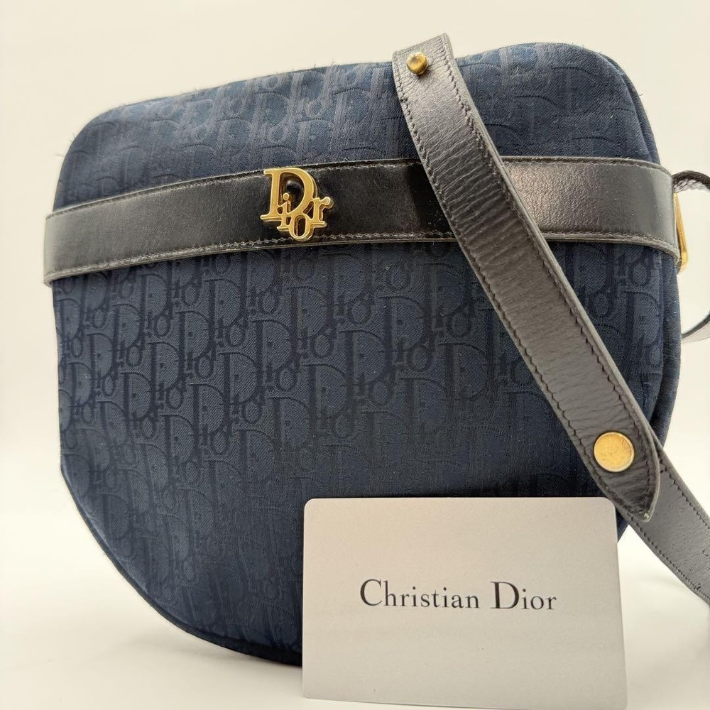 Luxury Dior Trotter Leather Shoulder Bag with Iconic Logo