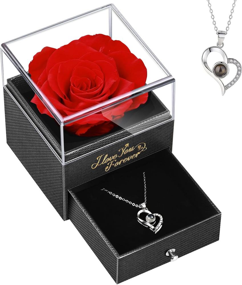 Forever Rose Necklace Gift Set for Women – Perfect Valentine’s Day Present