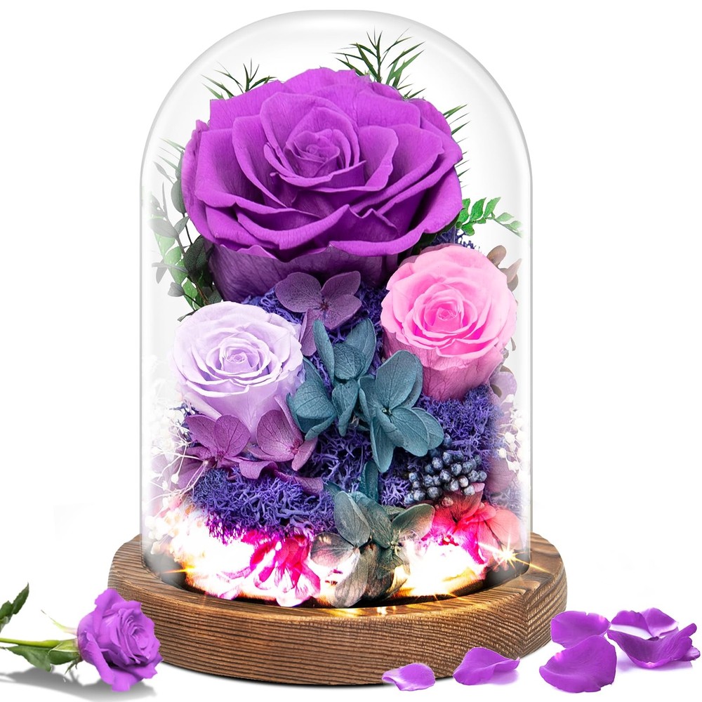 Valentine's Day Preserved Rose in Glass Dome Gift for Her Forever Flowers