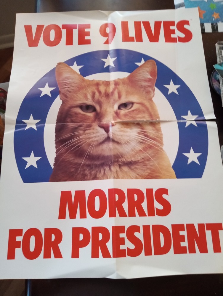 Morris The Cat President Poster Vote 9 Lives Cat Kitten Food