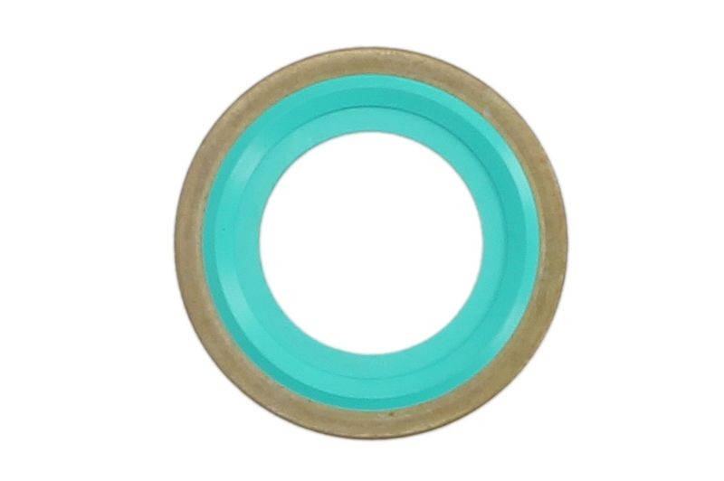 Oil Drain Cap Gasket for CITYWIDE, F, G I, G II