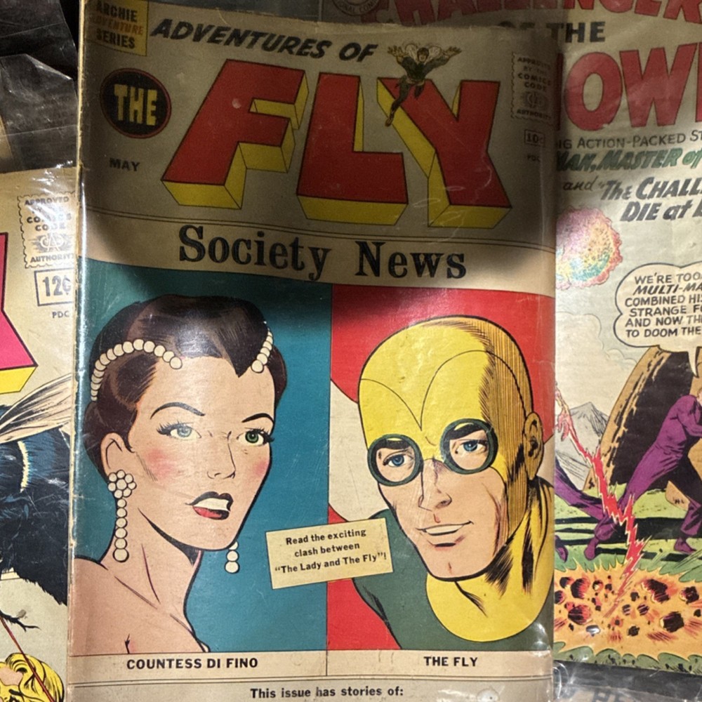 Archie Comics Adventures of The Fly Comic Book Single Issue Superheroes