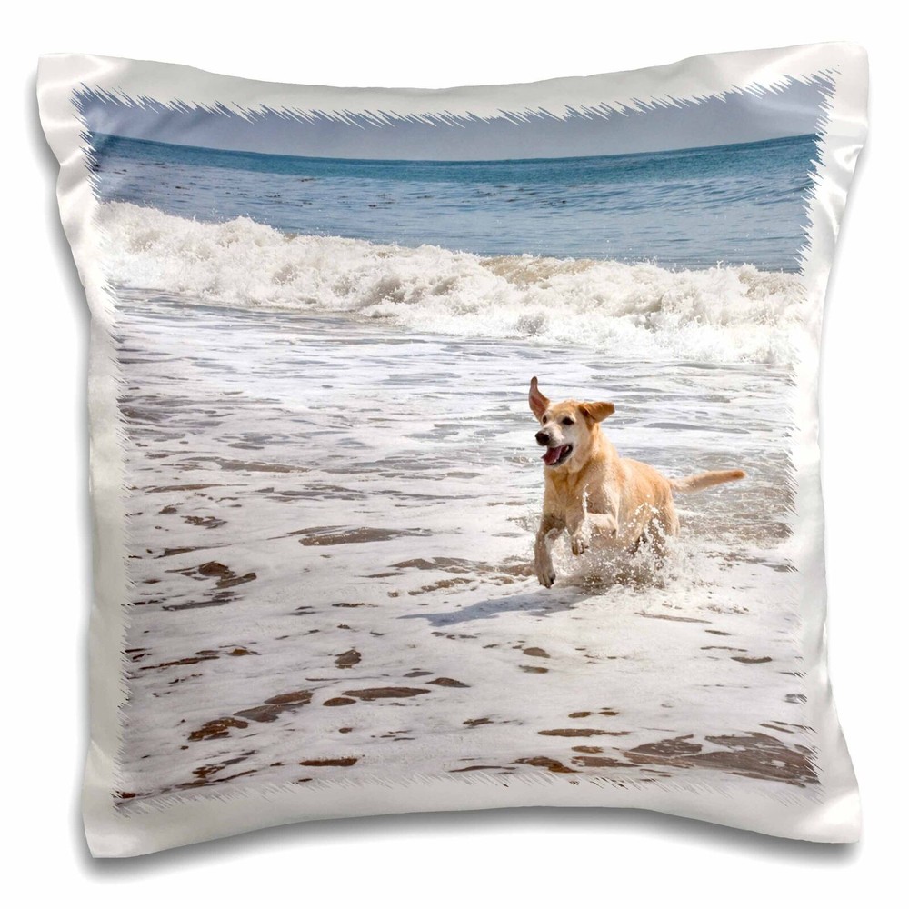 3dRose A Yellow Labrador Retriever dog - NA02 ZMU0155 - Zandria Muench Beraldo 1