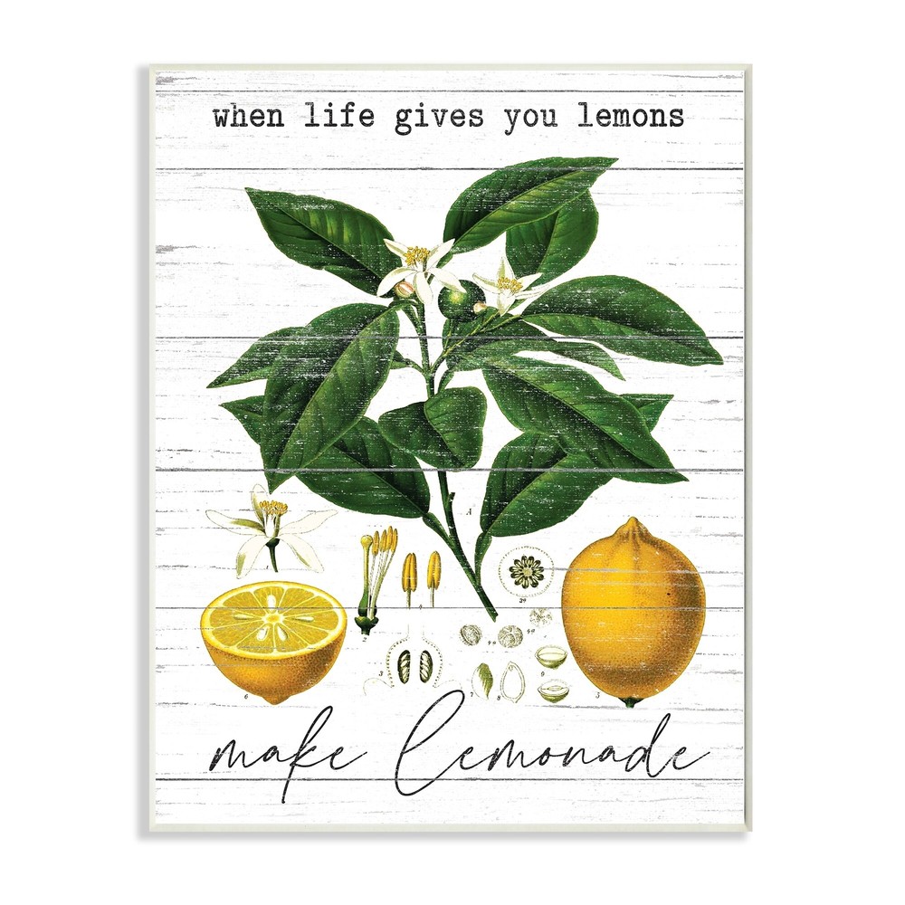 Stupell Life Gives Lemons Quote Country Fruit Anatomy Wood  10 x 15