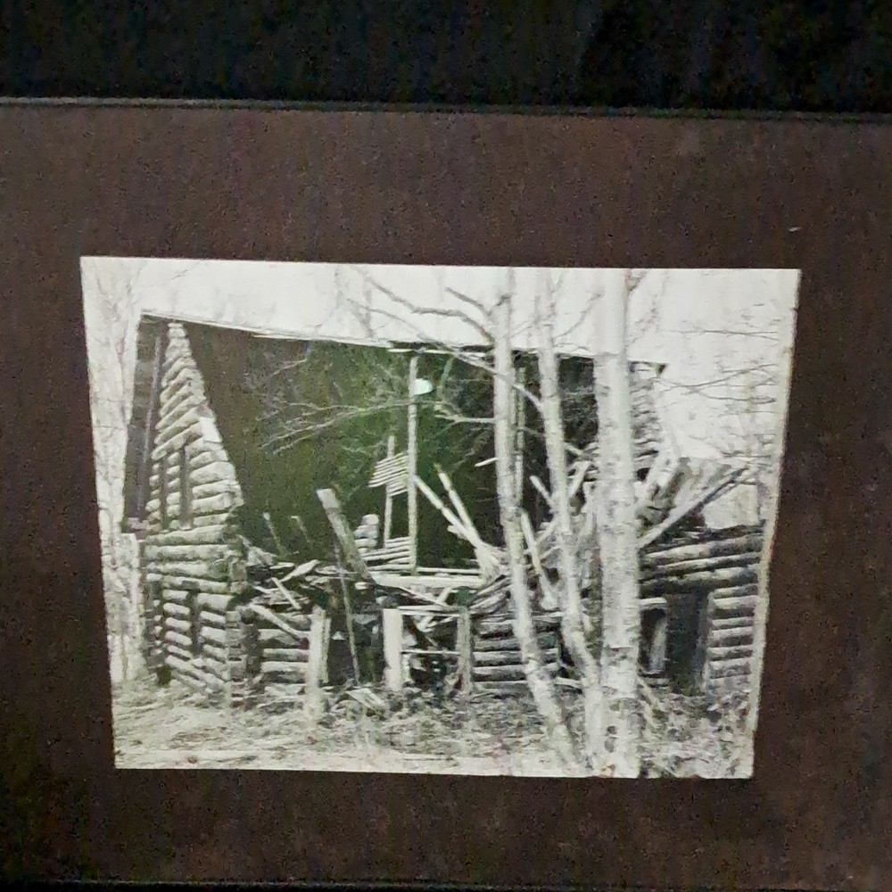 Black & White Landscape Photograph of Abandoned Cabin in Woods, Trees, Matted