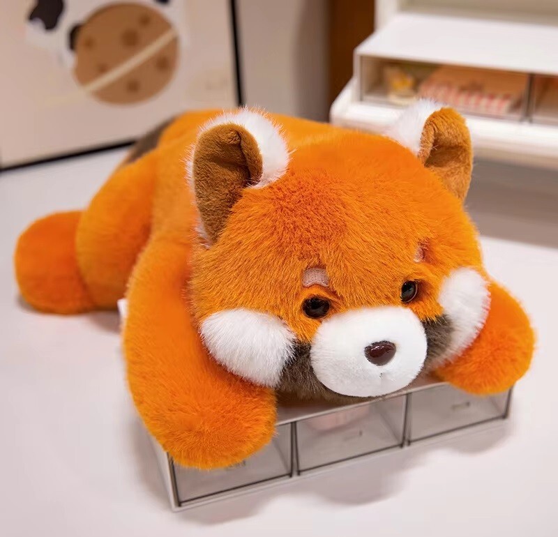 Raccoon 12
