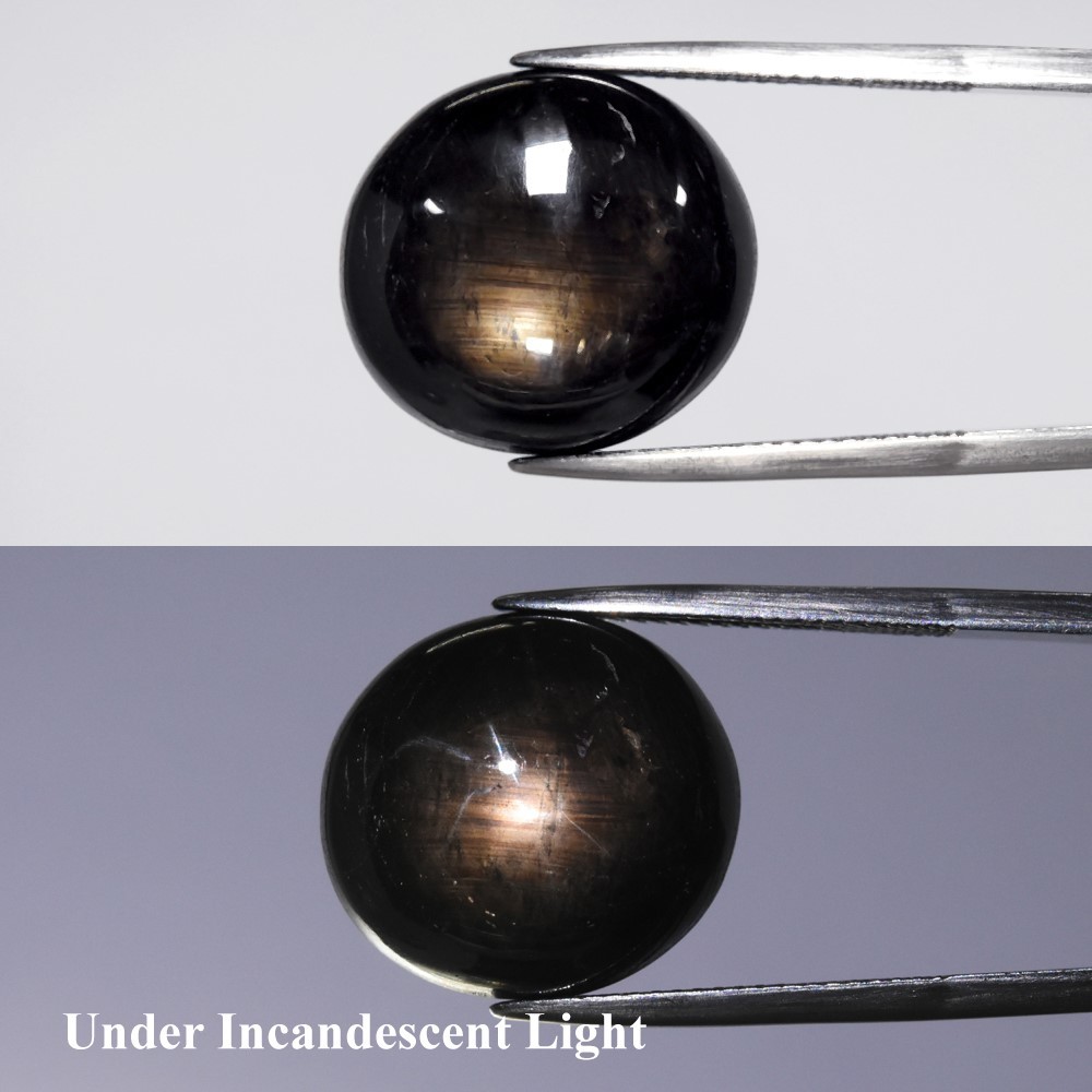 💎28.68ct Oval Cabochon Black 6 Ray Star Sapphire Heated Glass Filled Africa Gem